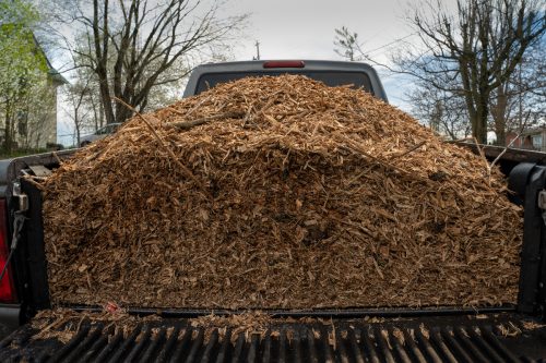 Read more about the article How Much Does A Pickup Truck Load Of Mulch Cost?