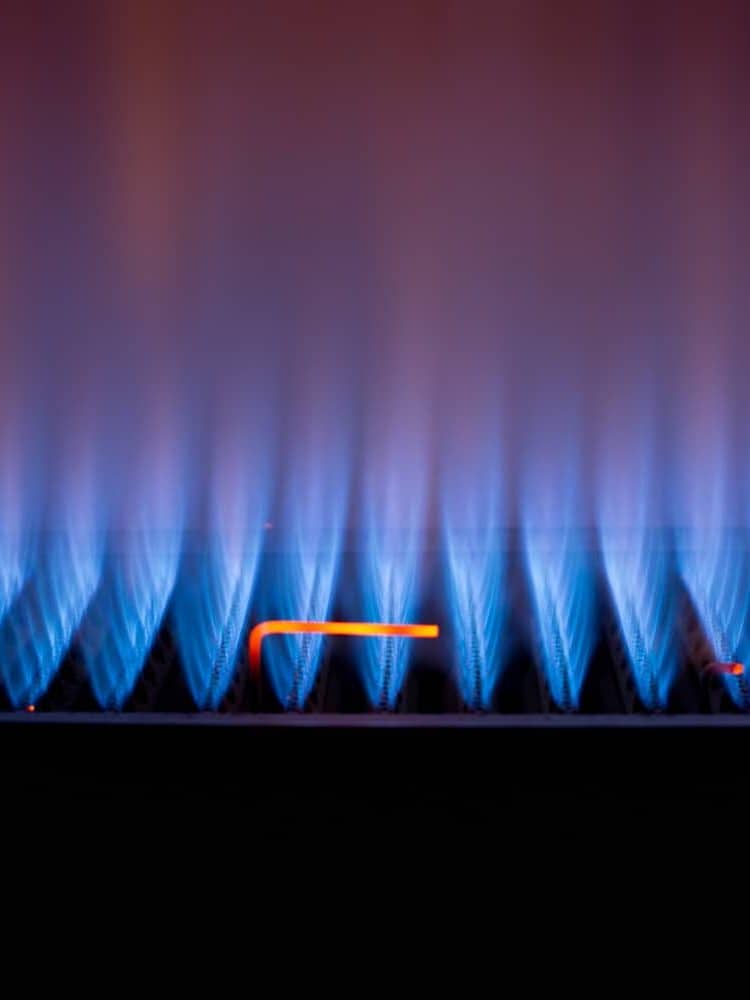 The beautiful flames of a gas fire.

